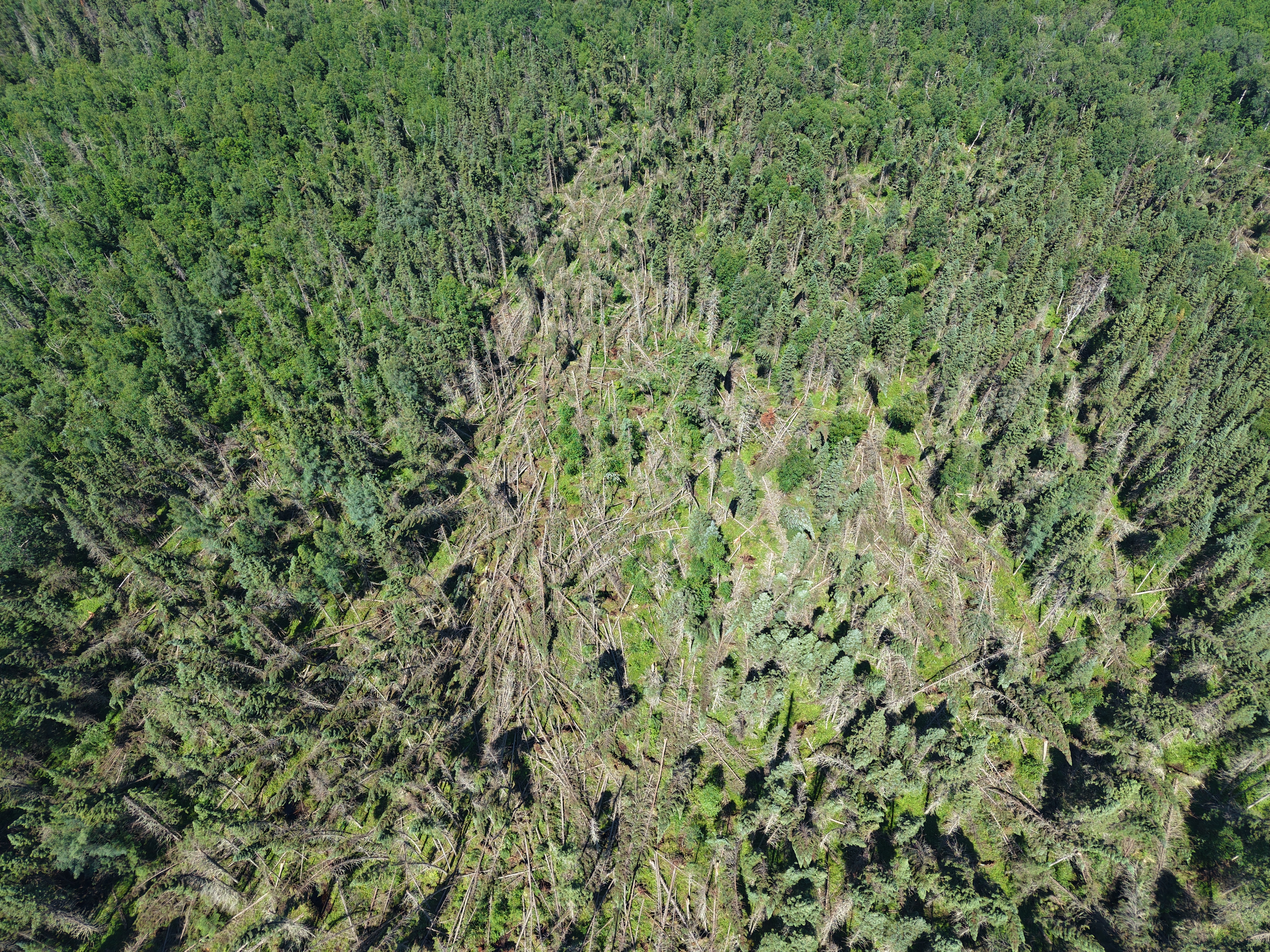 Damage photo