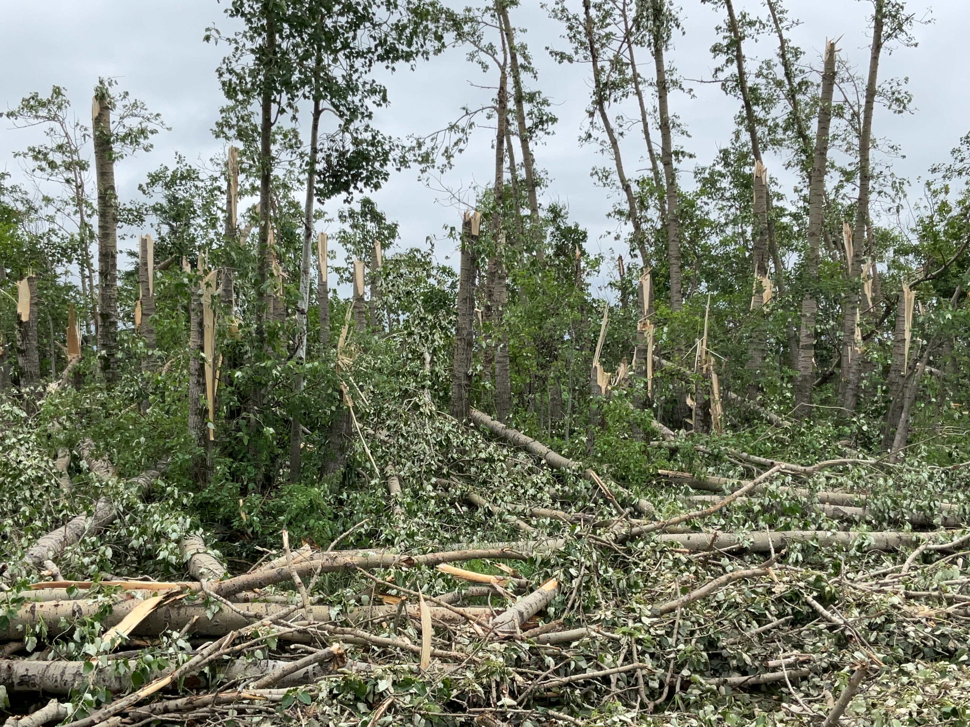 Damage photo