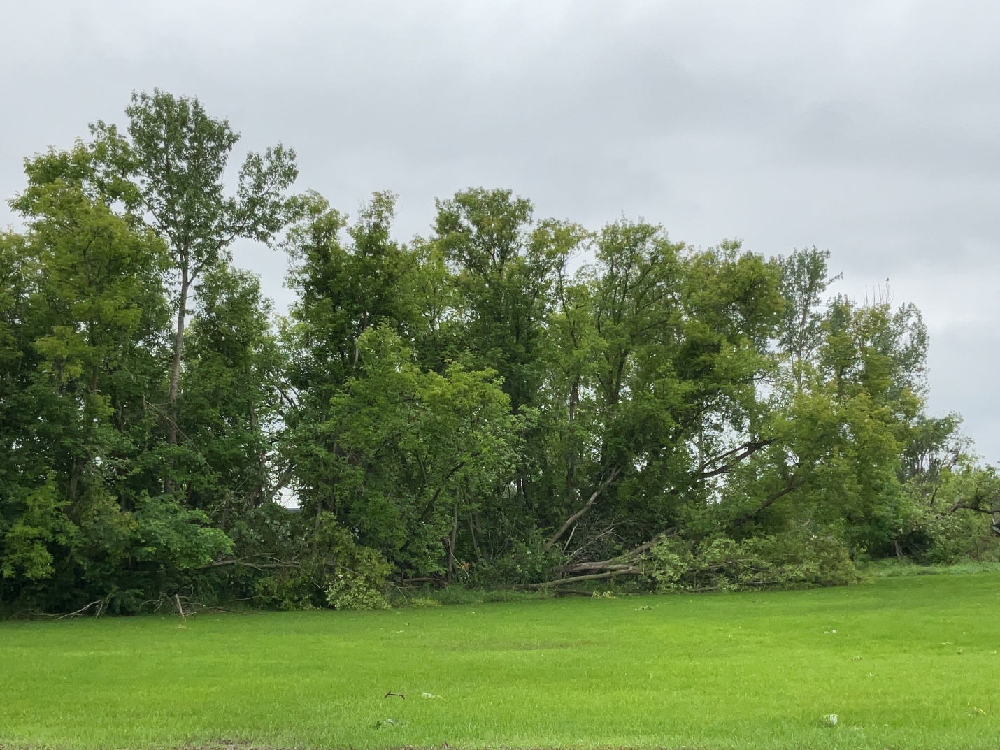 Damage photo