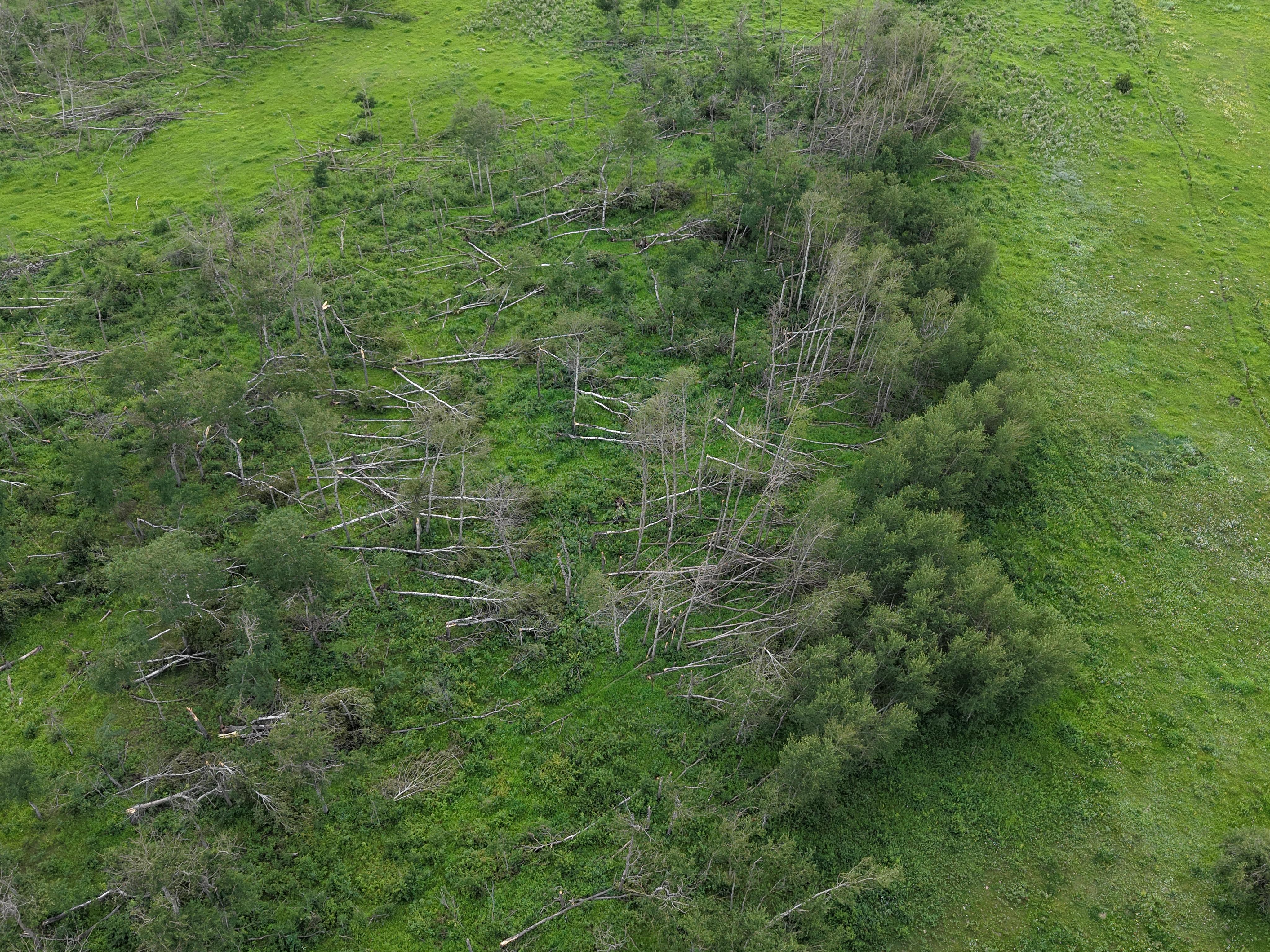 Damage photo