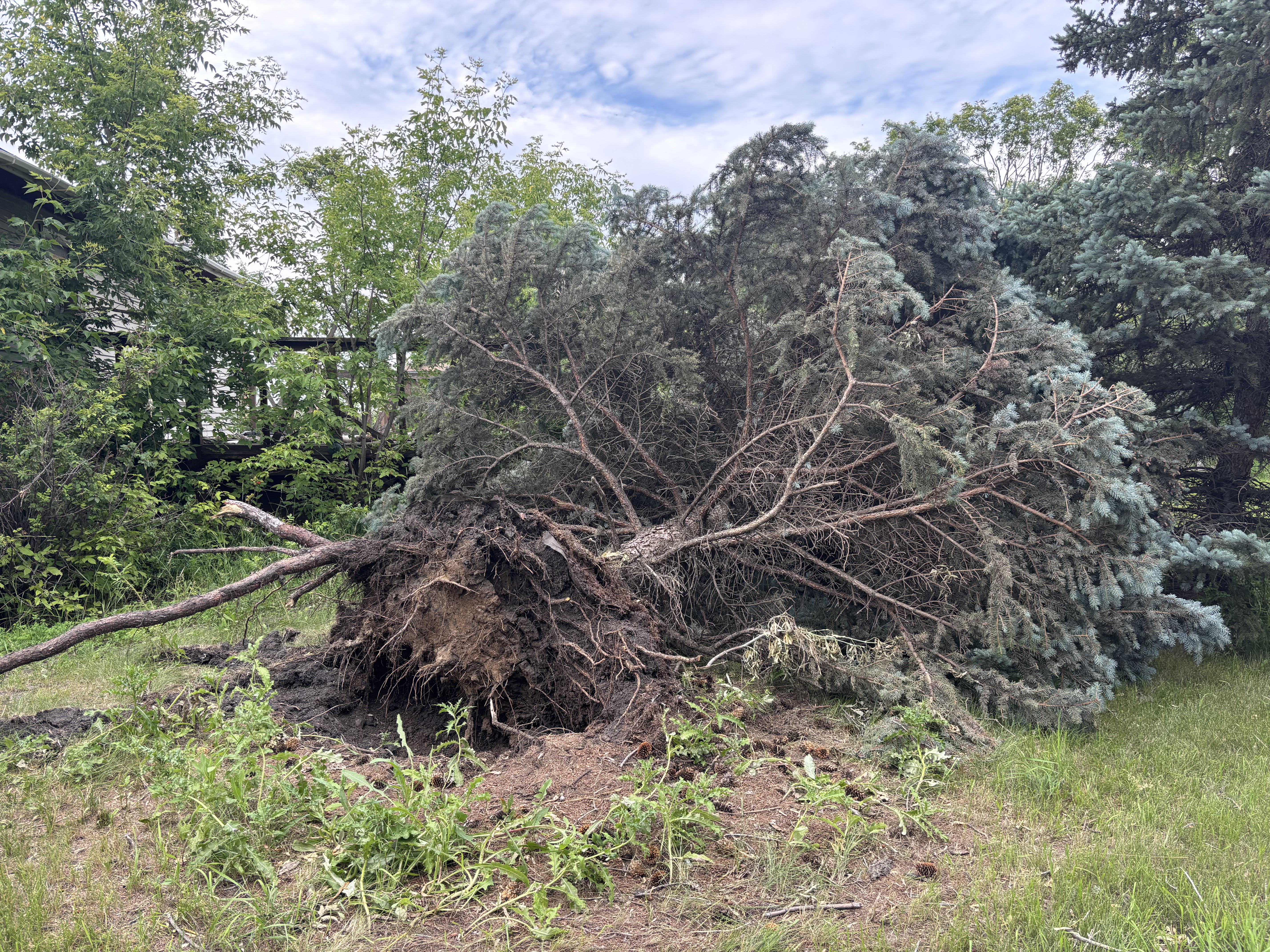 Damage photo