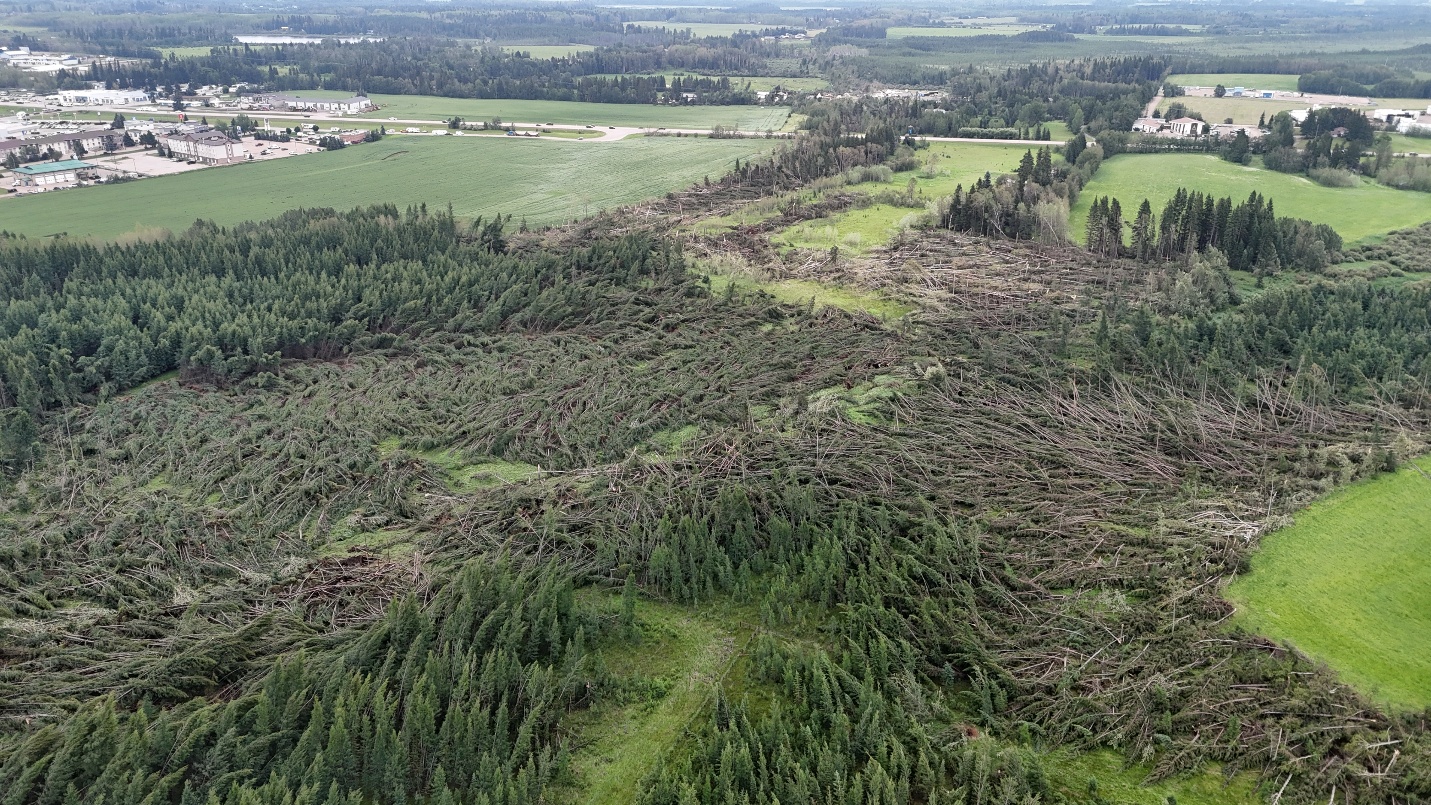Damage photo