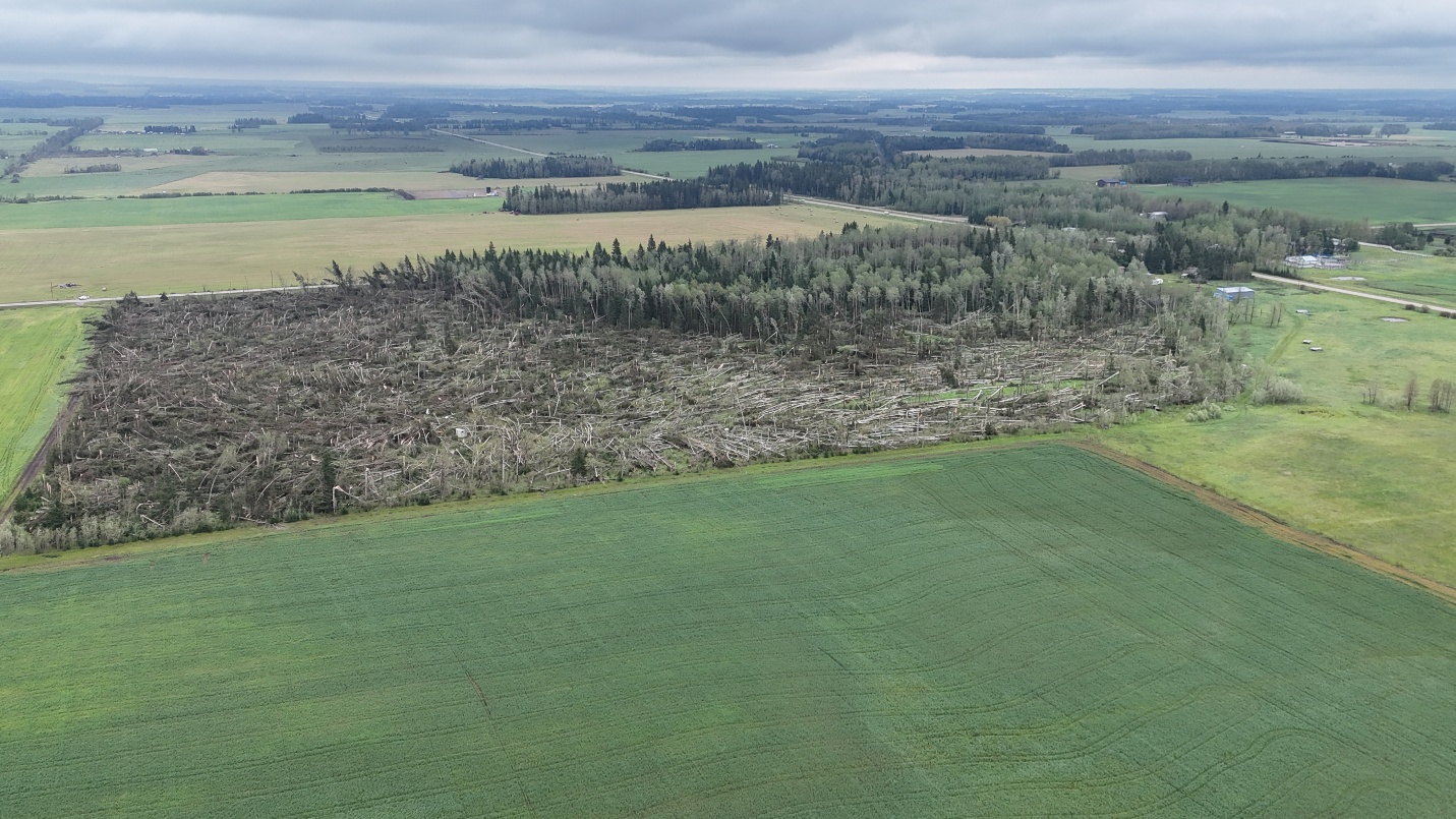 Damage photo