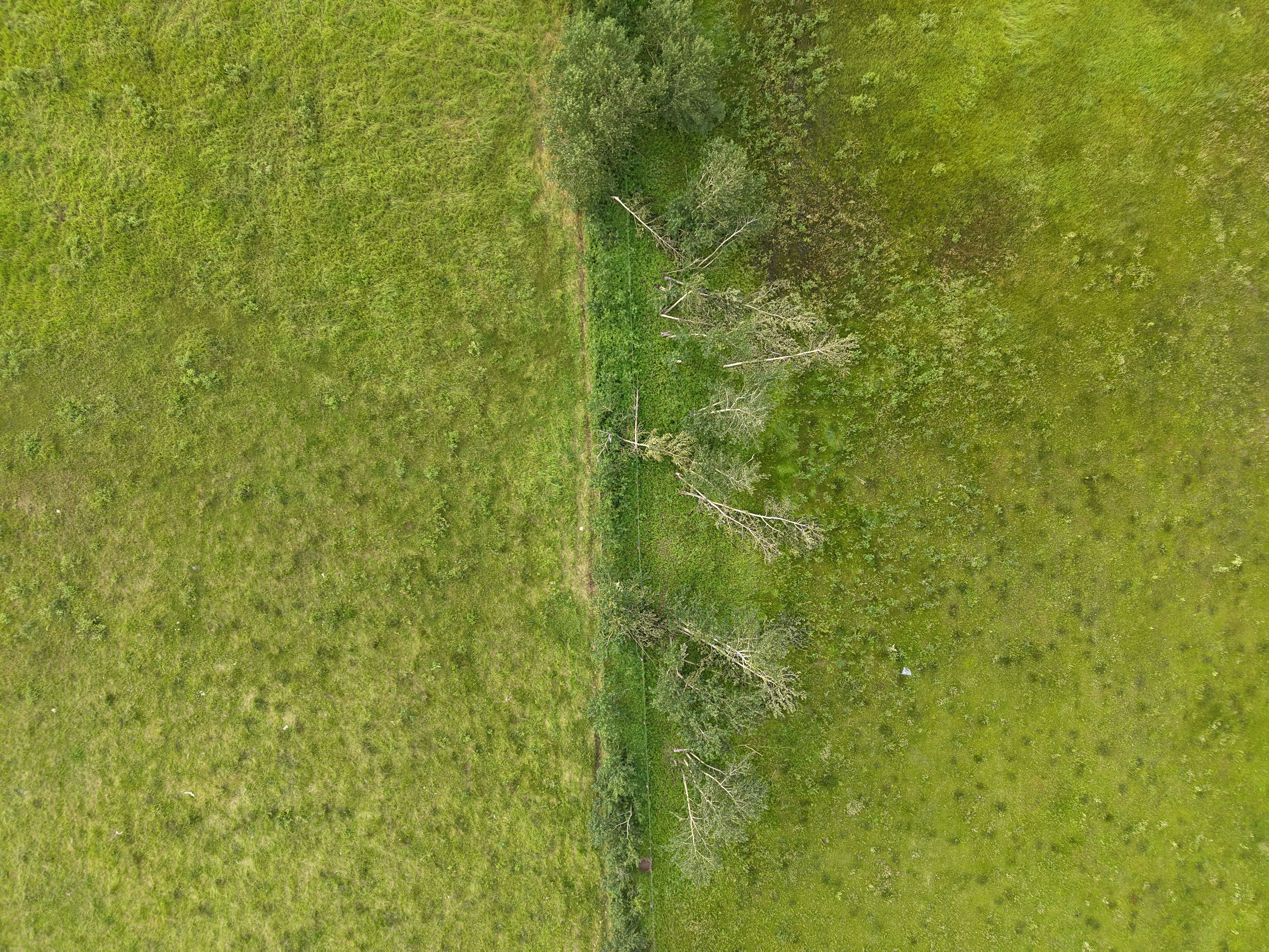 Damage photo