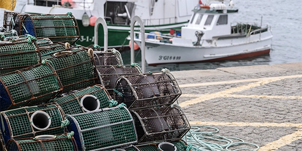 A pile of lobster cages on a dock