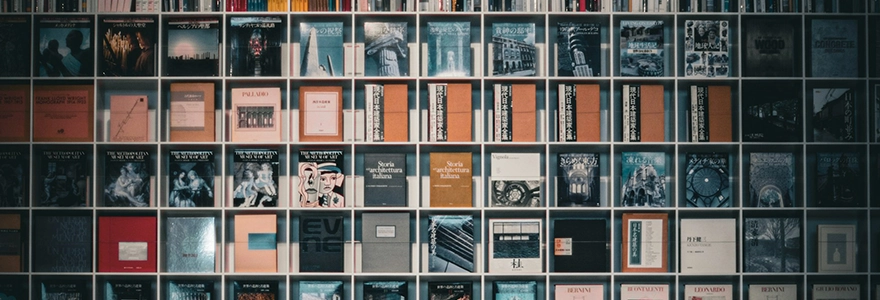 Image of a bookshelf