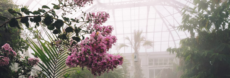 greenhouse-unsplash-880x300.jpg