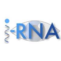 i-RNA