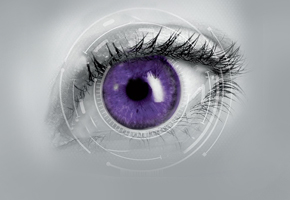 Purple eye on grey field