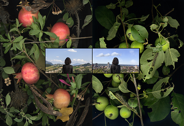 fruit on green leaf bg