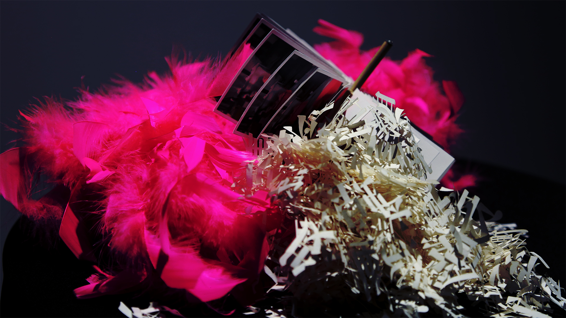 assemblage of pink feathers, cut letter and handmade book
