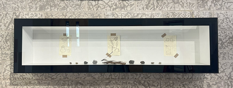 insallation vitrine with ceramic work