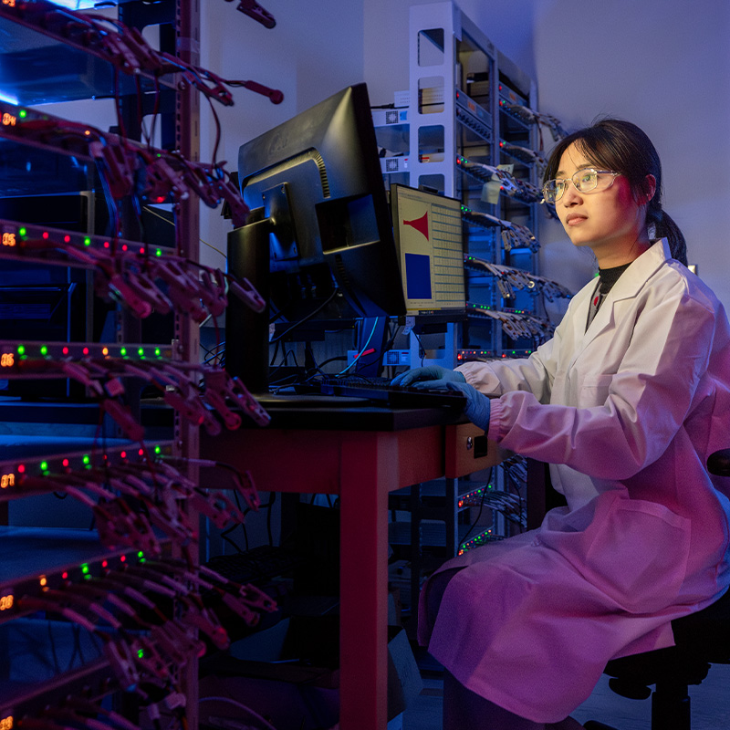 Research Comes to Life